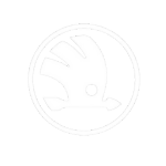 mechanik skoda goleniów